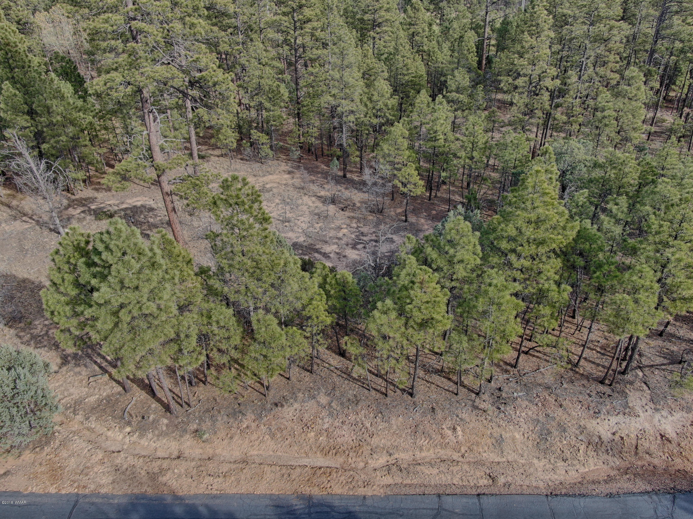 141 South Silktassel Road Show Low, AZ 85901 - Photo 3 of 15