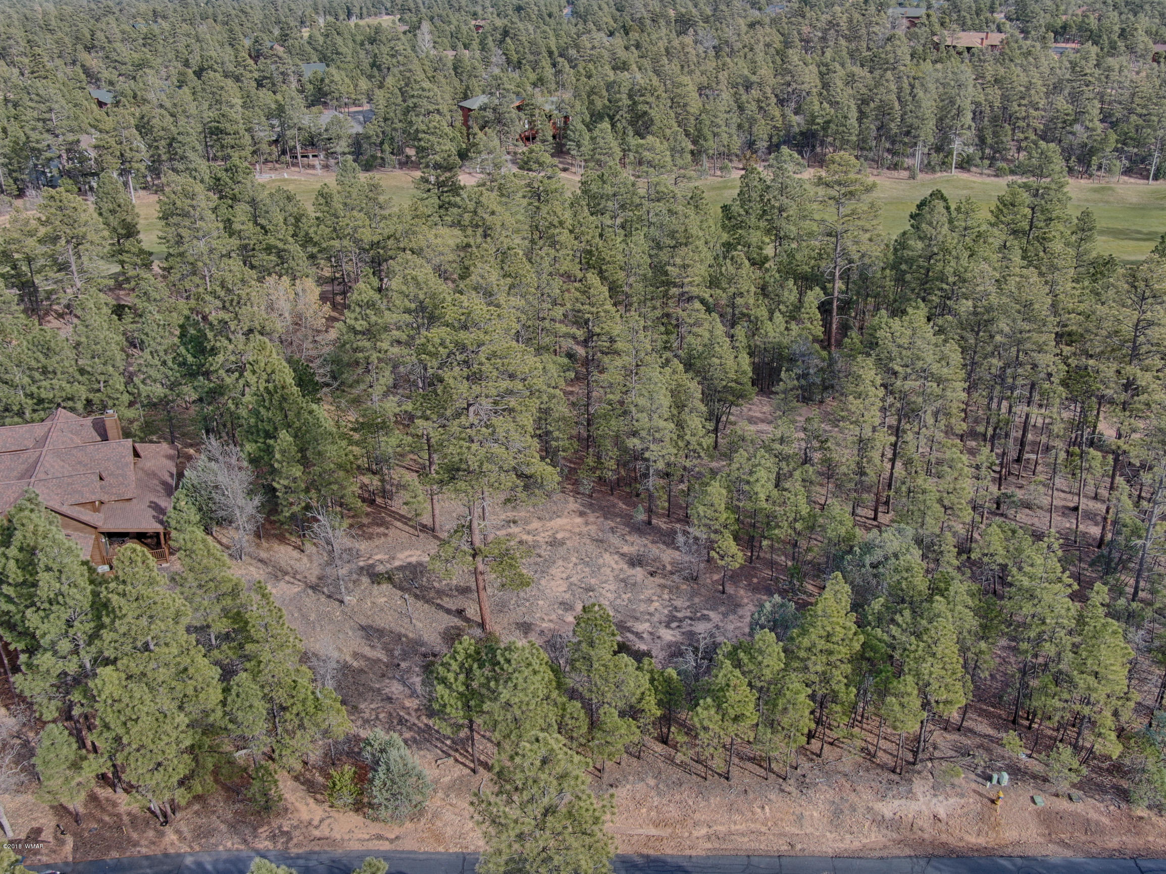 141 South Silktassel Road Show Low, AZ 85901 - Photo 4 of 15