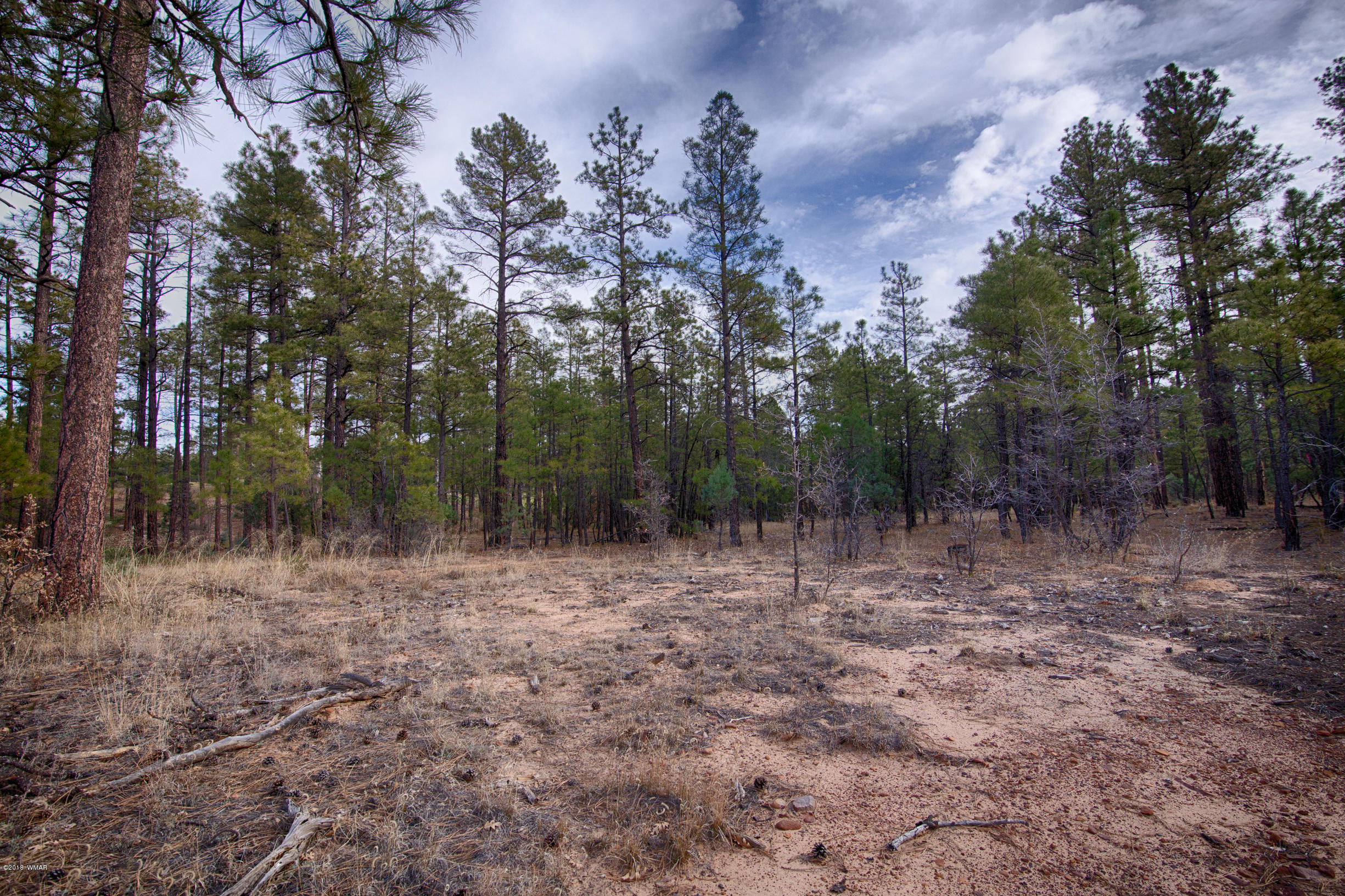 141 South Silktassel Road Show Low, AZ 85901 - Photo 6 of 15
