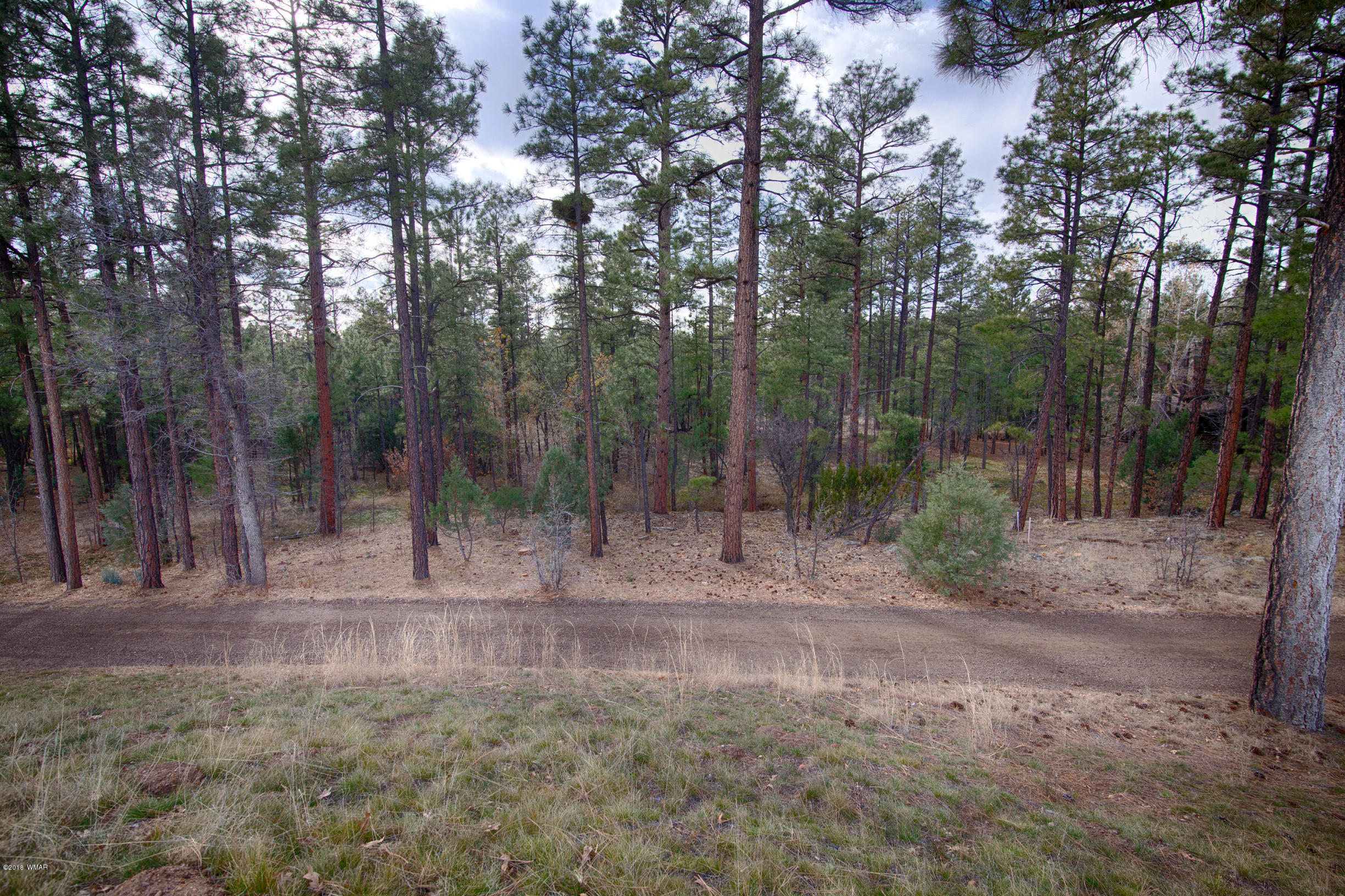 141 South Silktassel Road Show Low, AZ 85901 - Photo 8 of 15