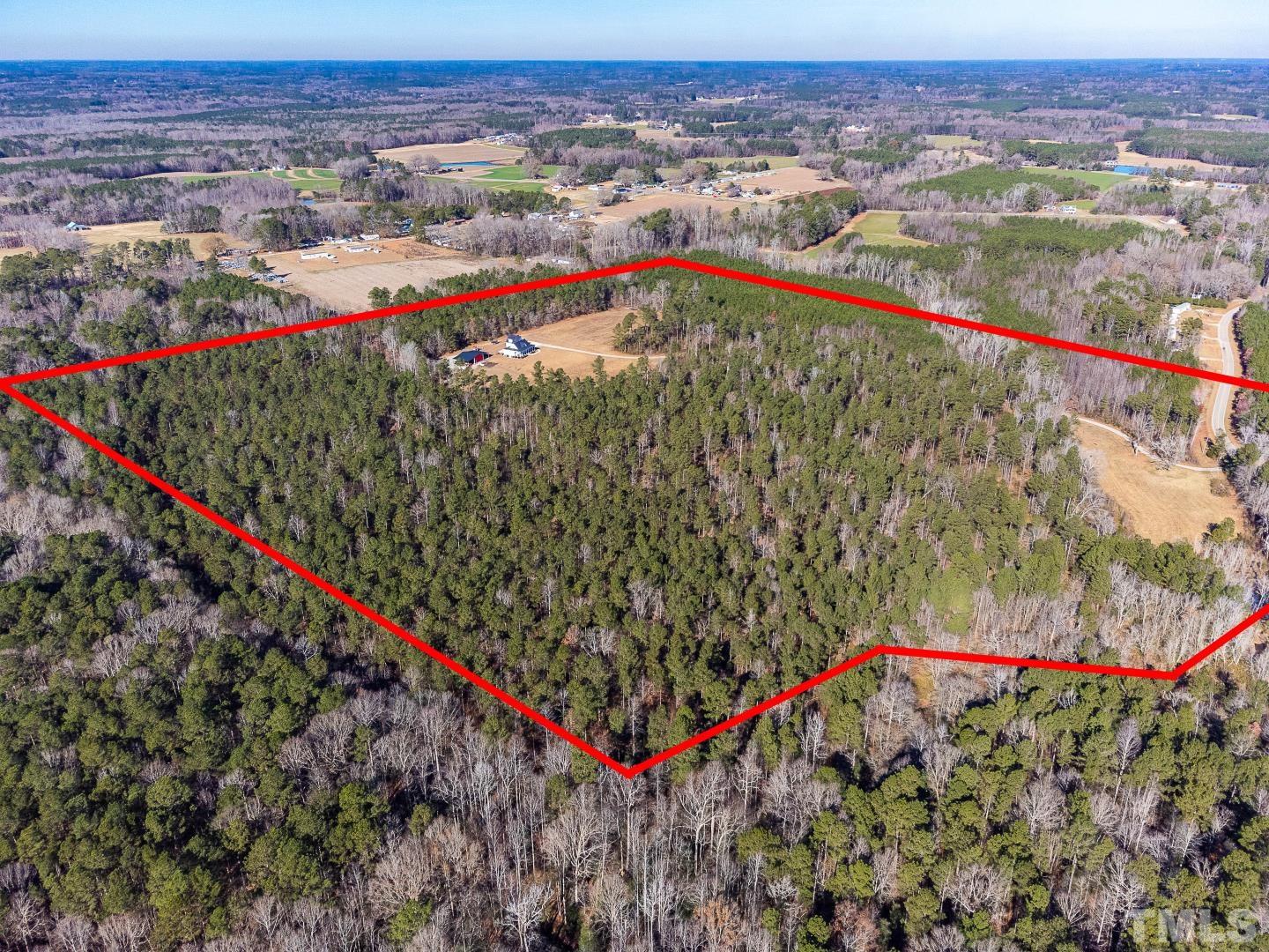 4300 Debnam Road Zebulon, NC 27597 - Photo 6 of 54 a view of city and flowers