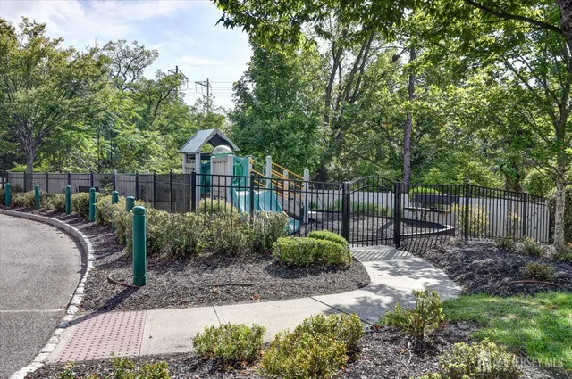 a garden covered with tall trees