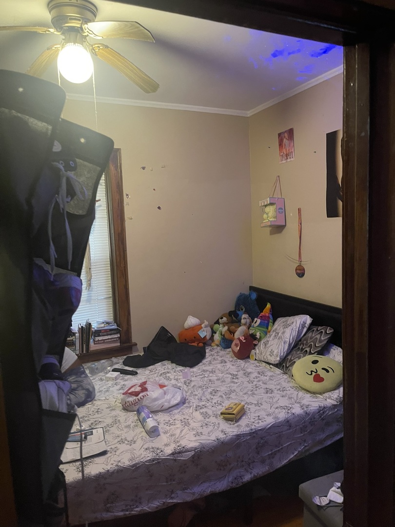 6953 South Artesian Avenue Chicago, IL 60629 - Photo 11 of 23 a room with furniture and a potted plant