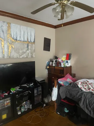 a room with furniture and a potted plant