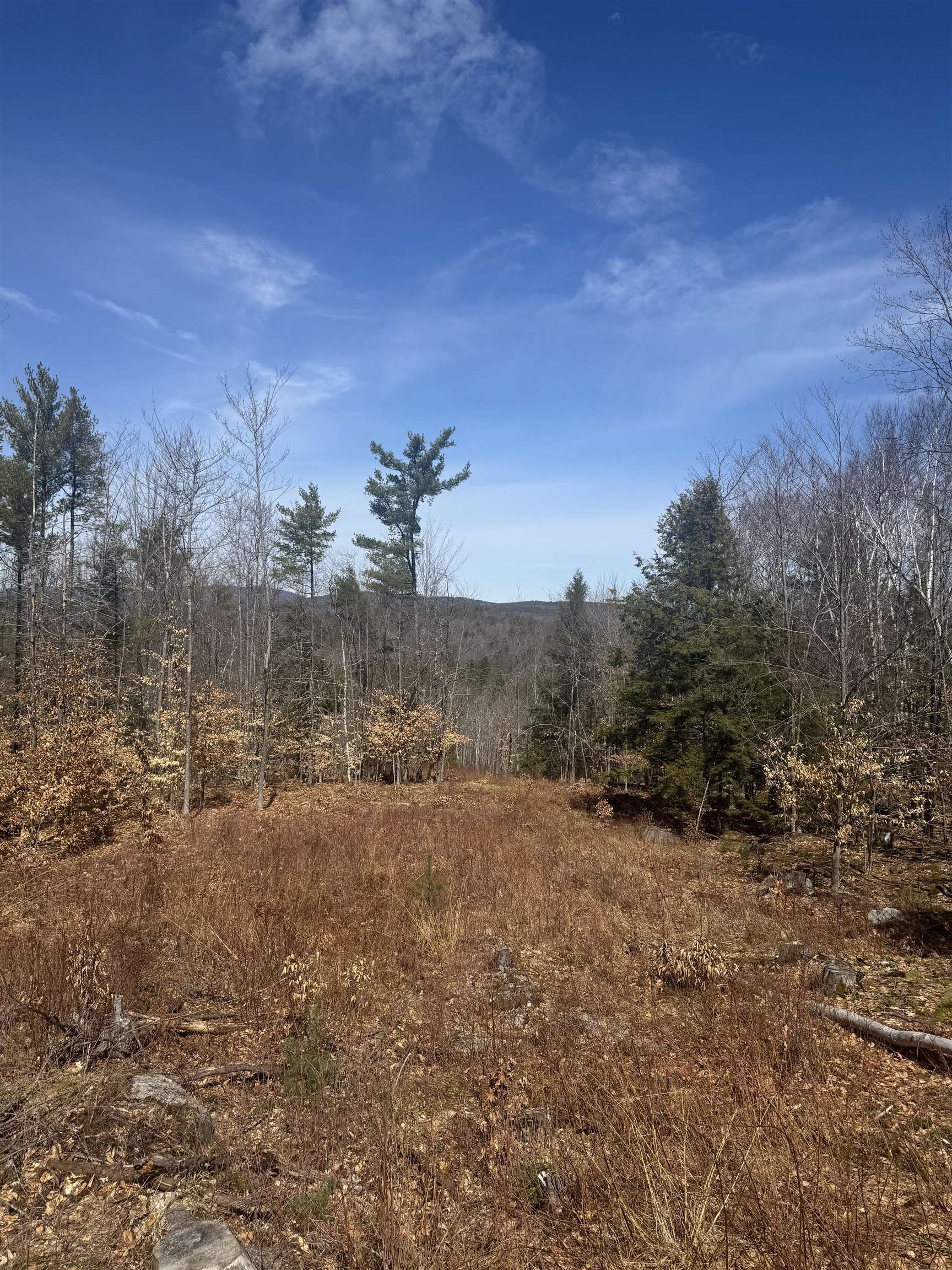 8 Wakefield North Road Wolfeboro, NH 03894 - Photo 3 of 3