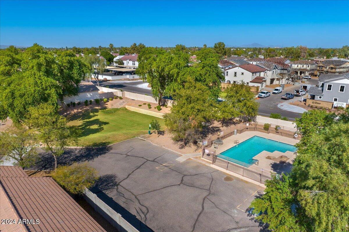 631 West Colt Road Chandler, AZ 85225 - Photo 50 of 56 Enclave Community Pool