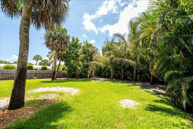 a view of a yard with plants