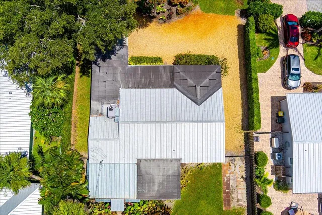 a view of a yard with plants and large trees
