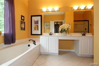 646 Castle Ridge Drive Ballwin, MO 63021 - Photo 18 of 37 Gallery Image 18