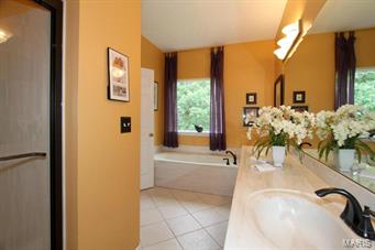 646 Castle Ridge Drive Ballwin, MO 63021 - Photo 19 of 37 Gallery Image 19