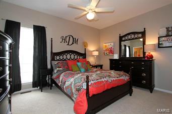 646 Castle Ridge Drive Ballwin, MO 63021 - Photo 20 of 37 Gallery Image 20