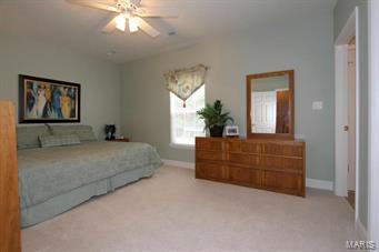 646 Castle Ridge Drive Ballwin, MO 63021 - Photo 33 of 37 Gallery Image 33