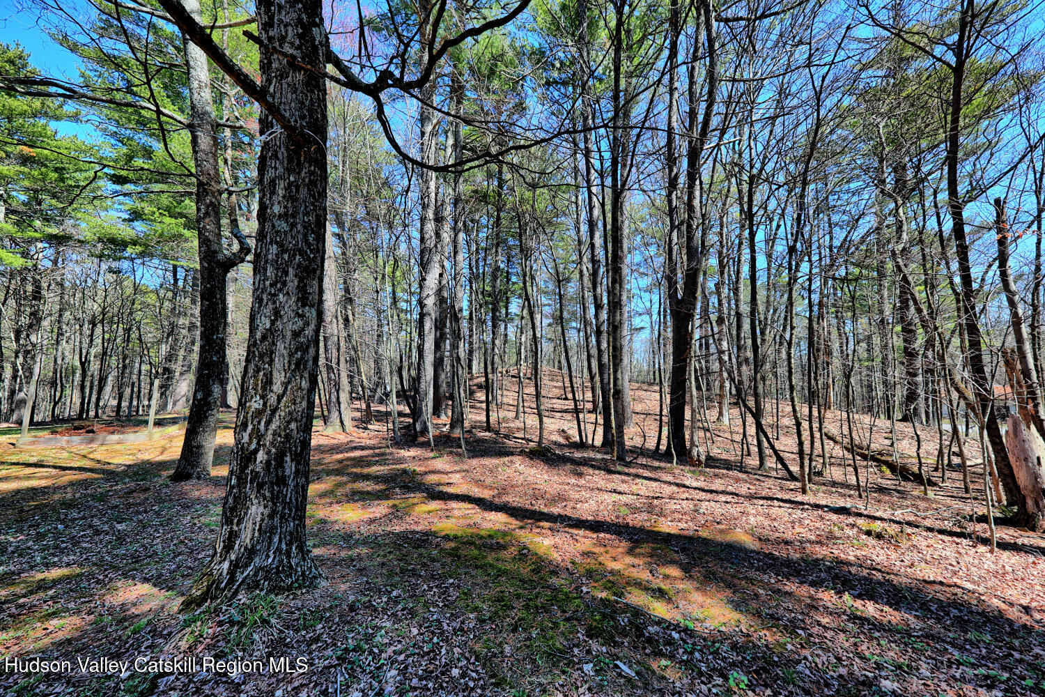 61 Joel M Austin Road Catskill, NY 12413 - Photo 62 of 83 9zza