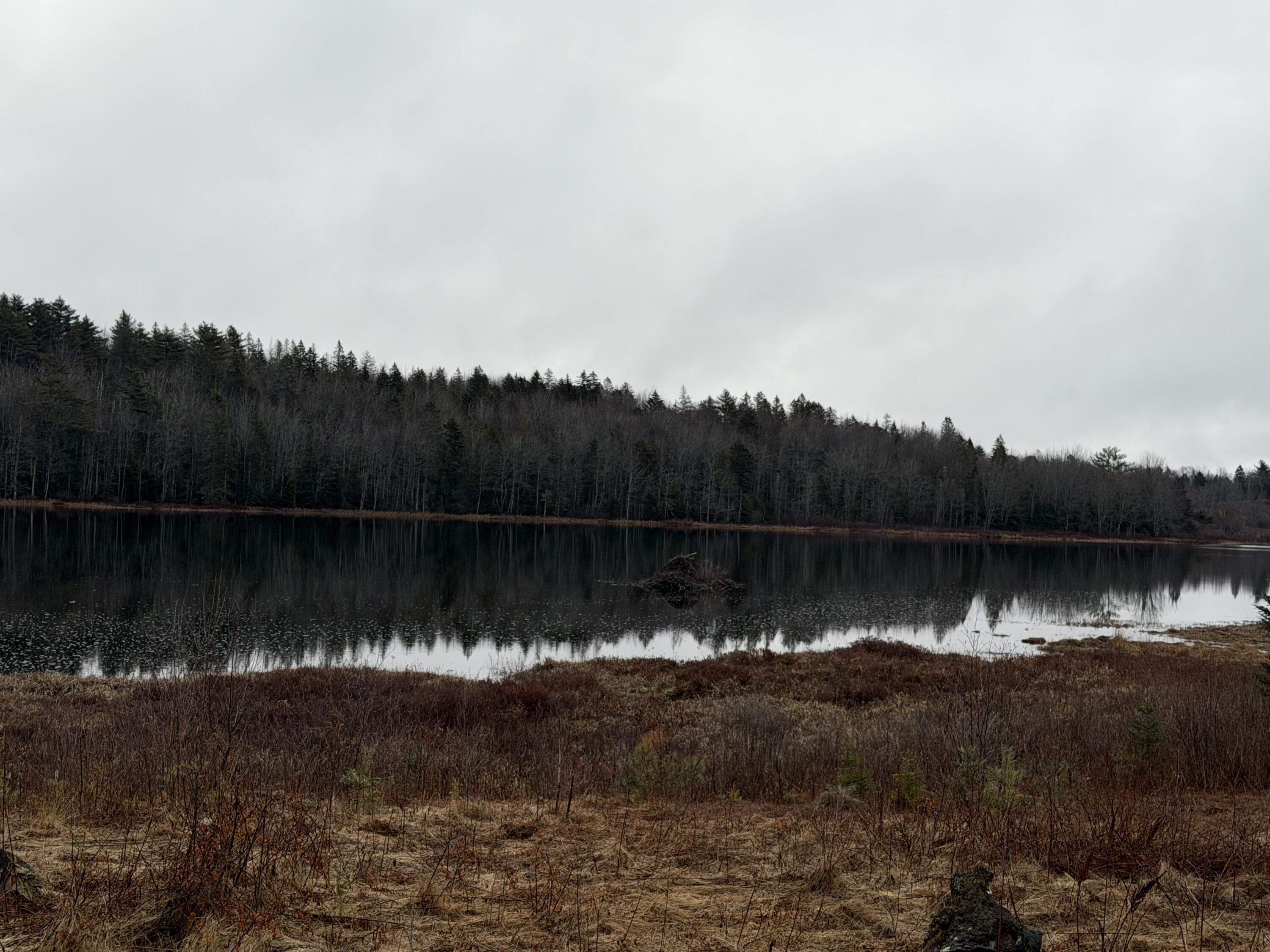 0 Guzzle Road Gouldsboro, ME 04607 - Photo 1 of 4 Again