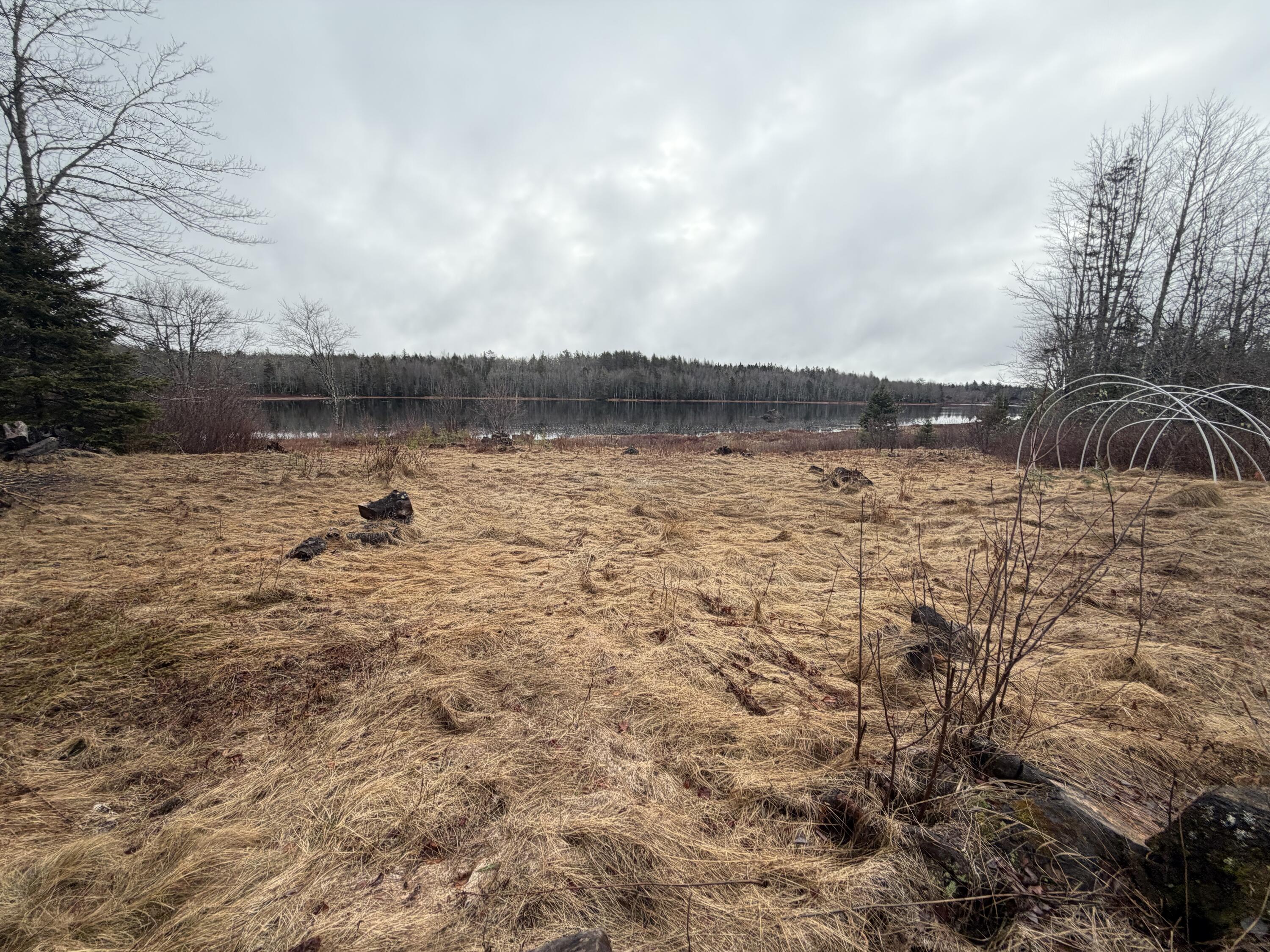 0 Guzzle Road Gouldsboro, ME 04607 - Photo 2 of 4 And again