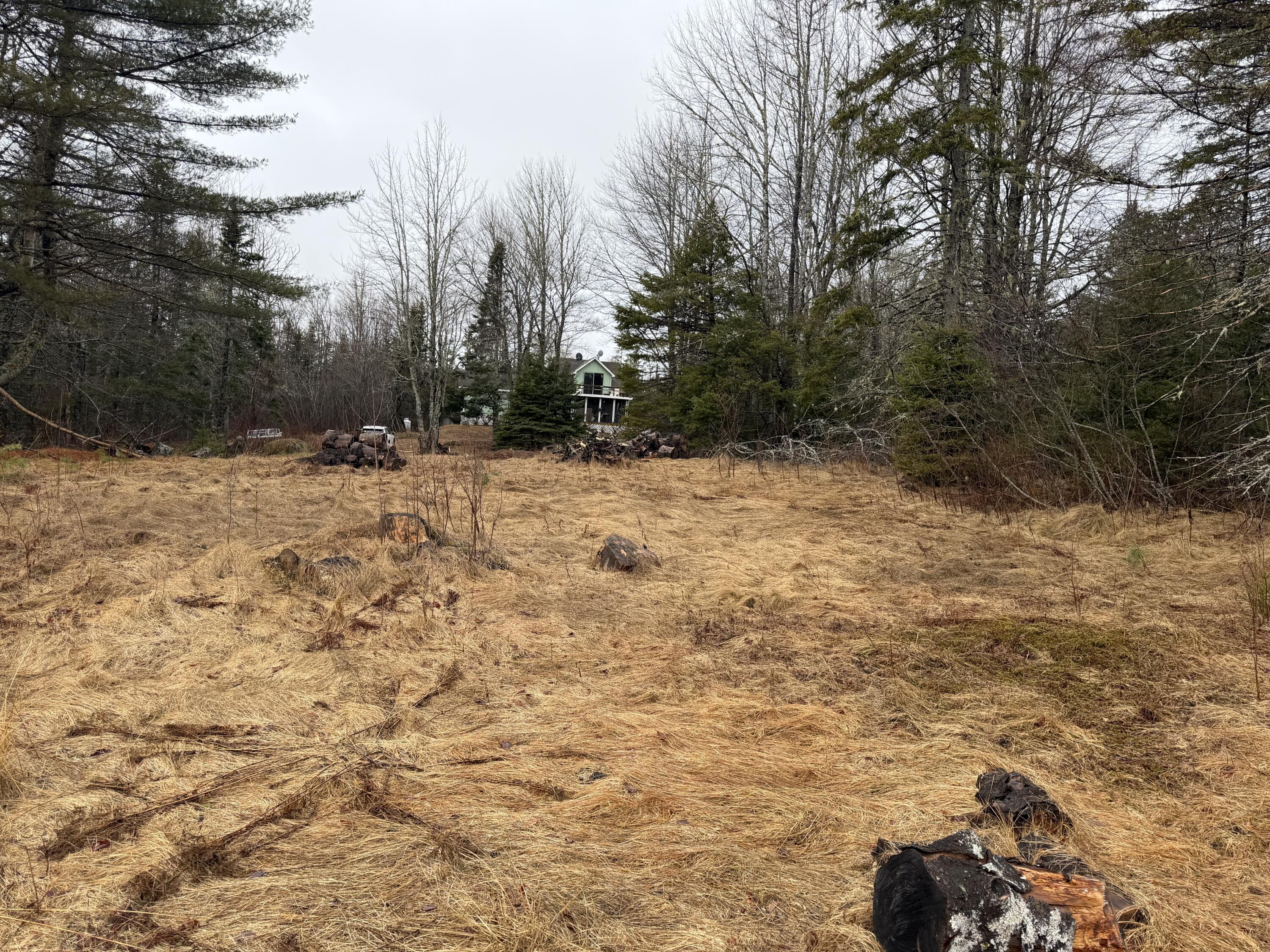 0 Guzzle Road Gouldsboro, ME 04607 - Photo 3 of 4 2.25