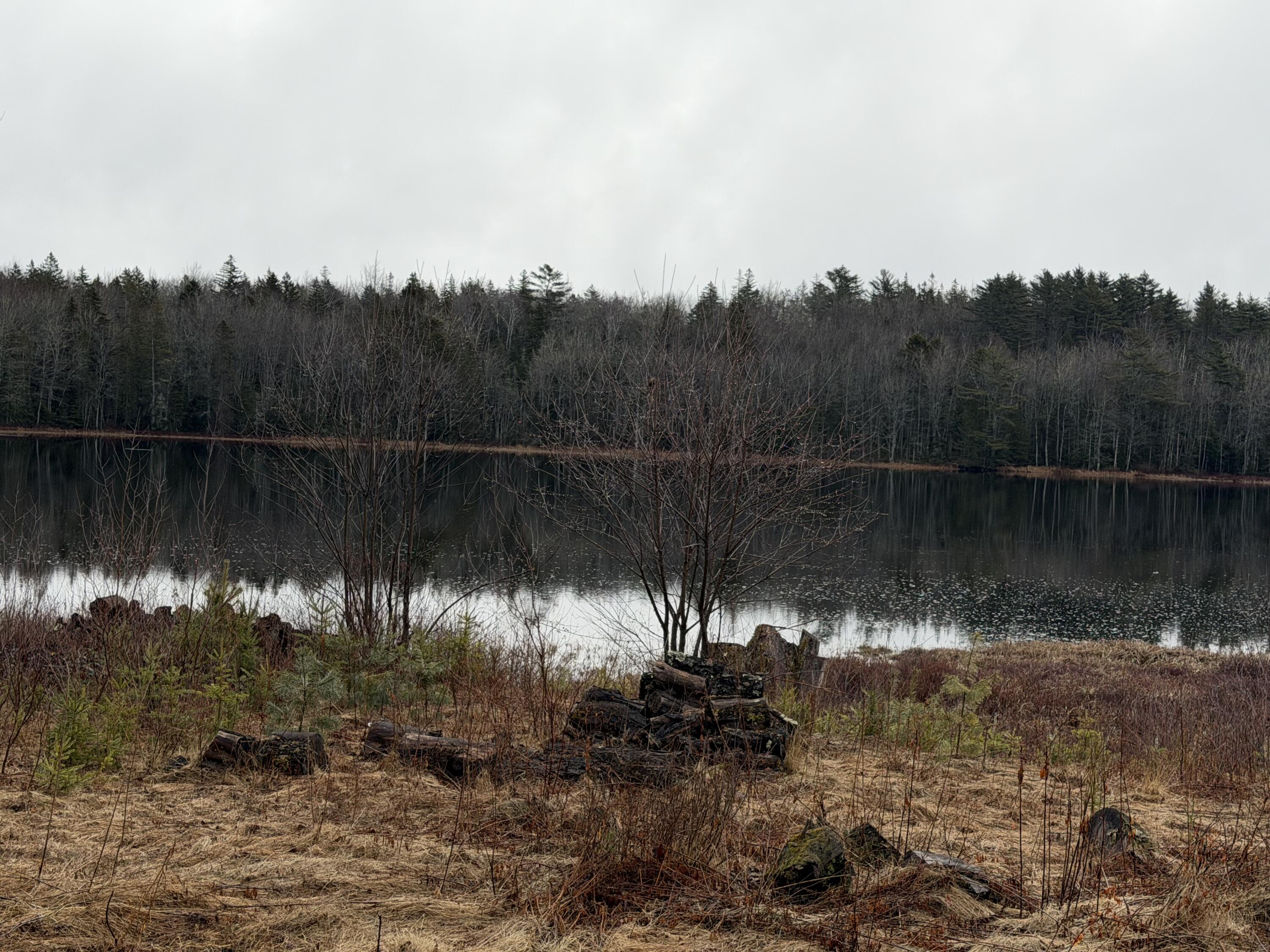 0 Guzzle Road Gouldsboro, ME 04607 - Photo 4 of 4 T