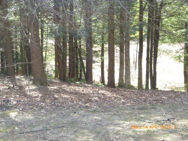 51 Flat Rock Road Petersham, MA 01366 - Photo 7 of 15