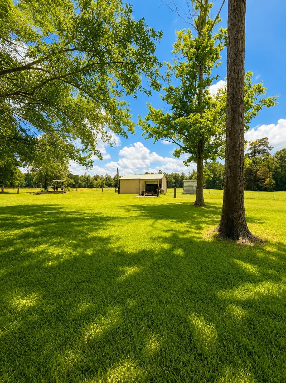 7565 Silver Star Road Sour Lake, TX 77659 - Photo 23 of 28 Gallery Image 23