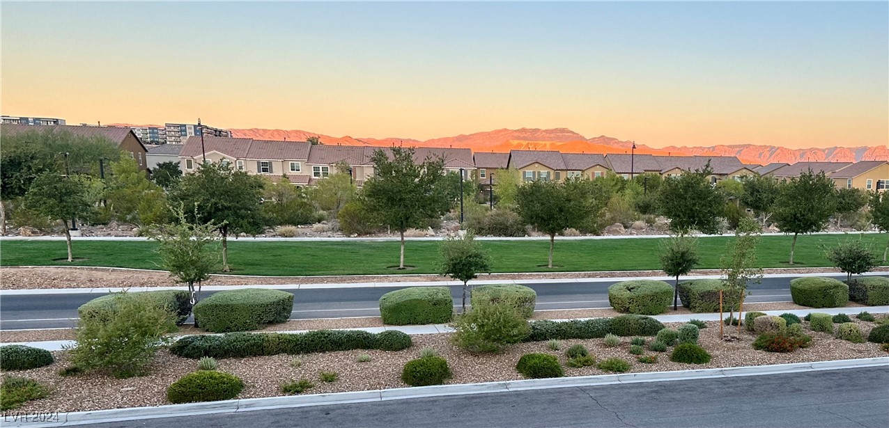 2174 Trivero Street Henderson, NV 89044 - Photo 7 of 63 View of park across the street