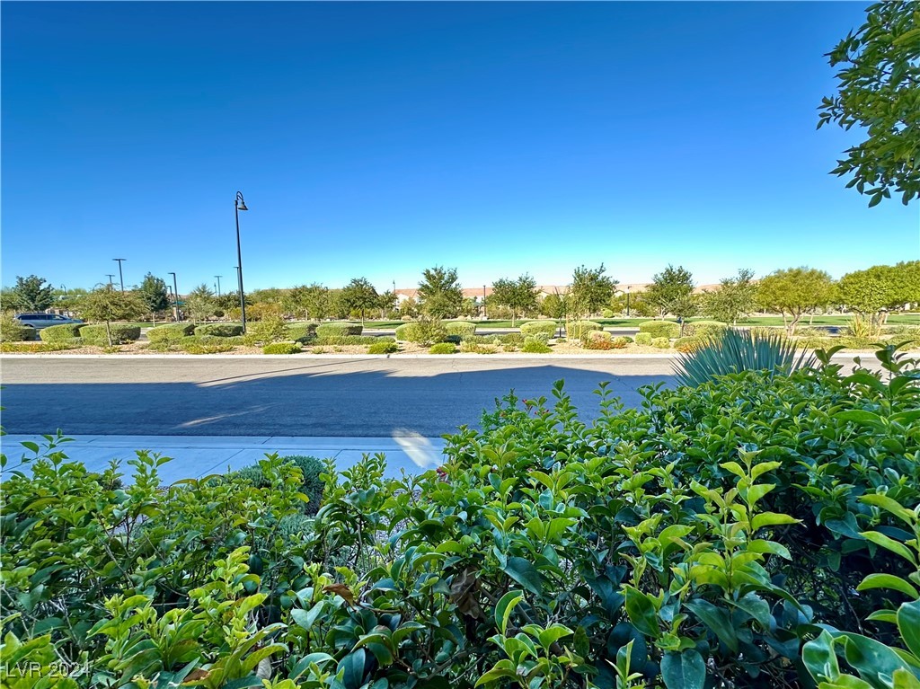 2174 Trivero Street Henderson, NV 89044 - Photo 8 of 63 View of park across the street