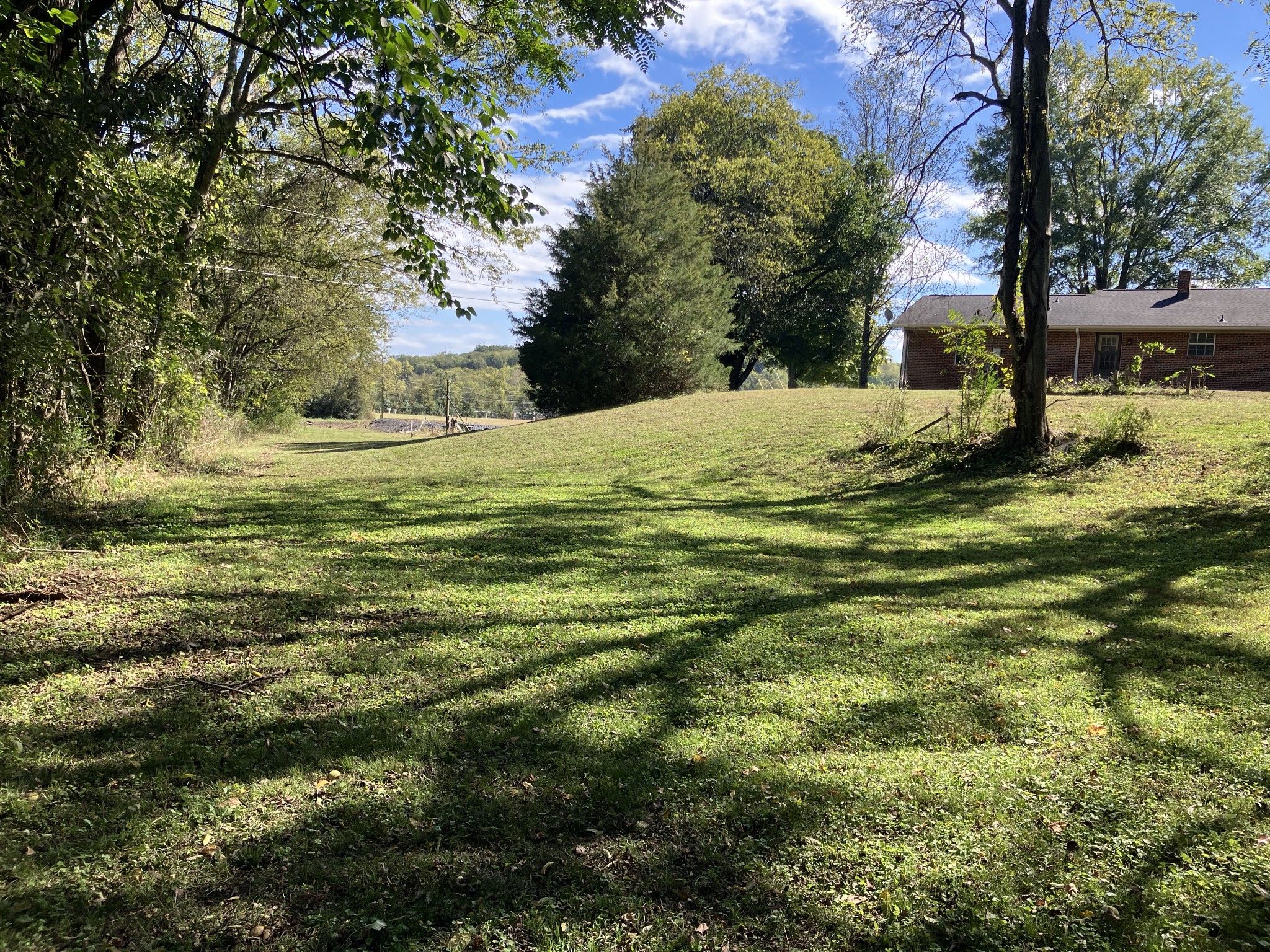 3411 Booker Ridge Road Mount Pleasant, TN 38474 - Photo 13 of 13 a view of a yard with plants