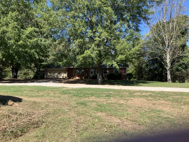 a view of a trees with a yard