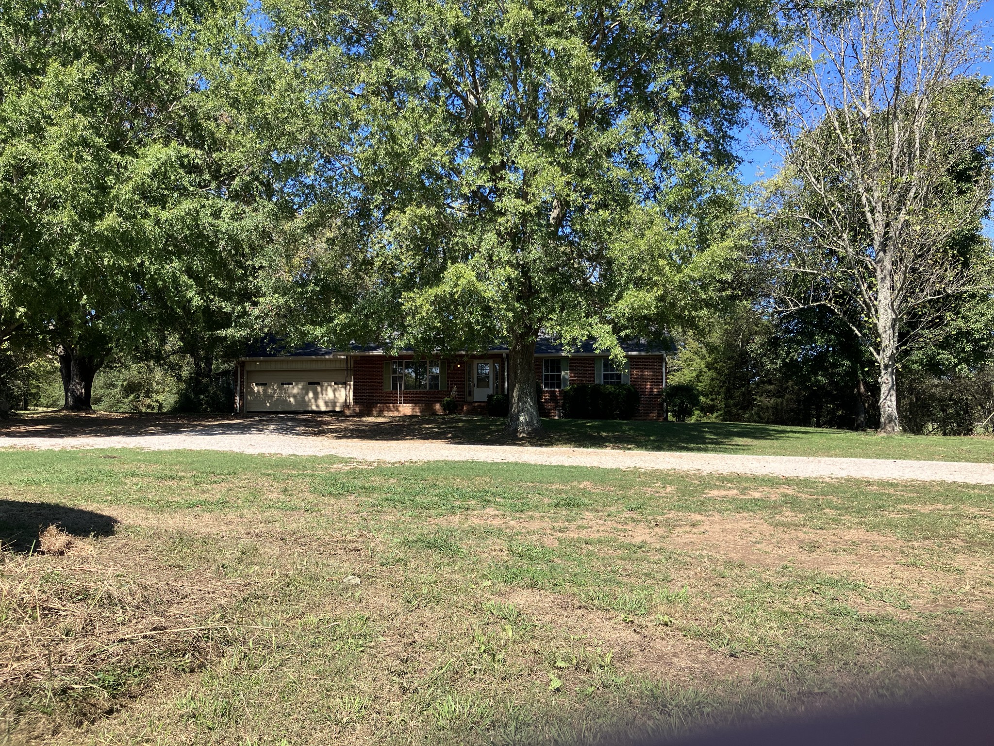 3411 Booker Ridge Road Mount Pleasant, TN 38474 - Photo 10 of 13 a view of a trees with a yard