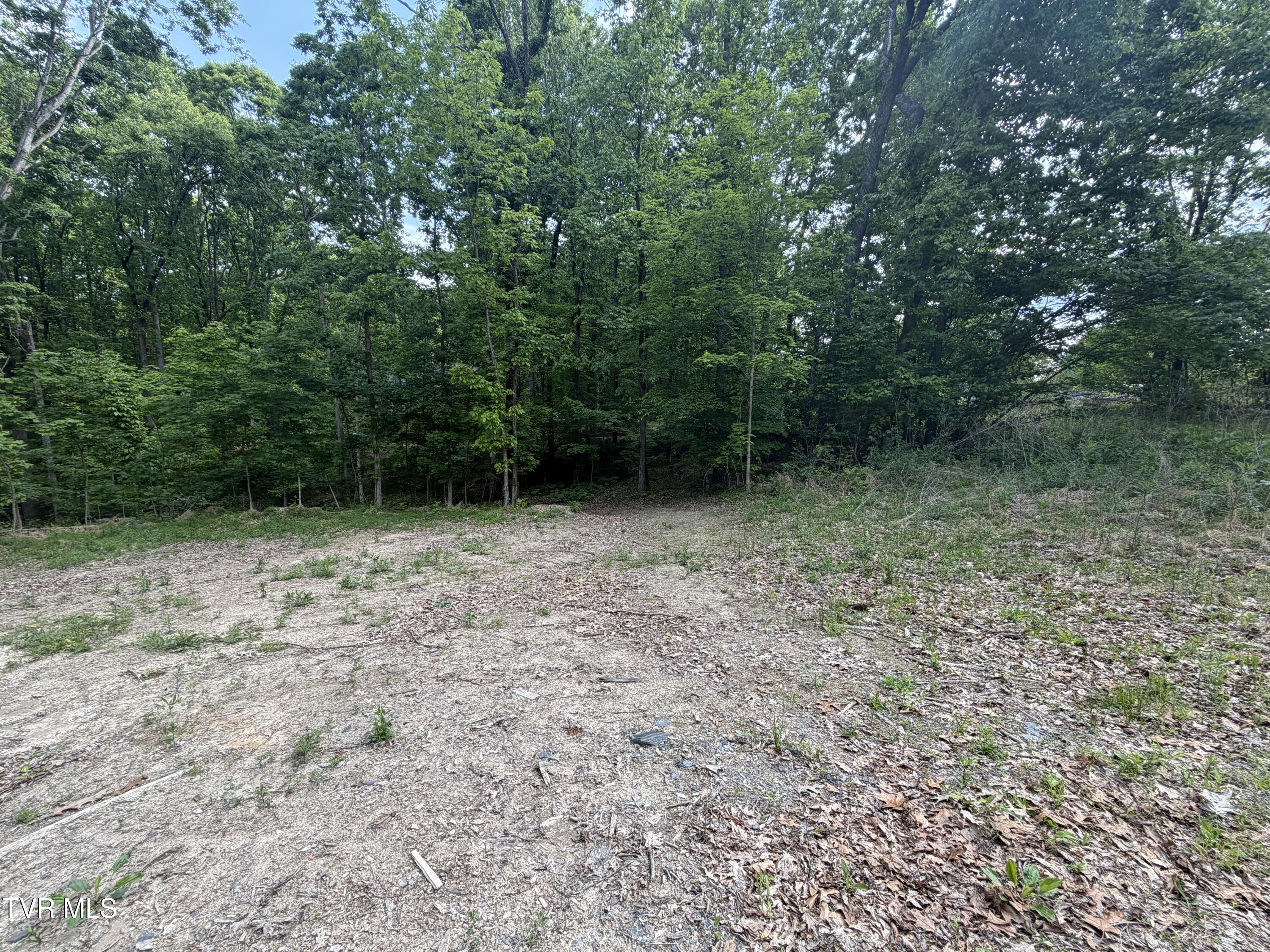 955 Old Hall Road, Unit 1 Chuckey, TN 37641 - Photo 5 of 31 IMG_4932