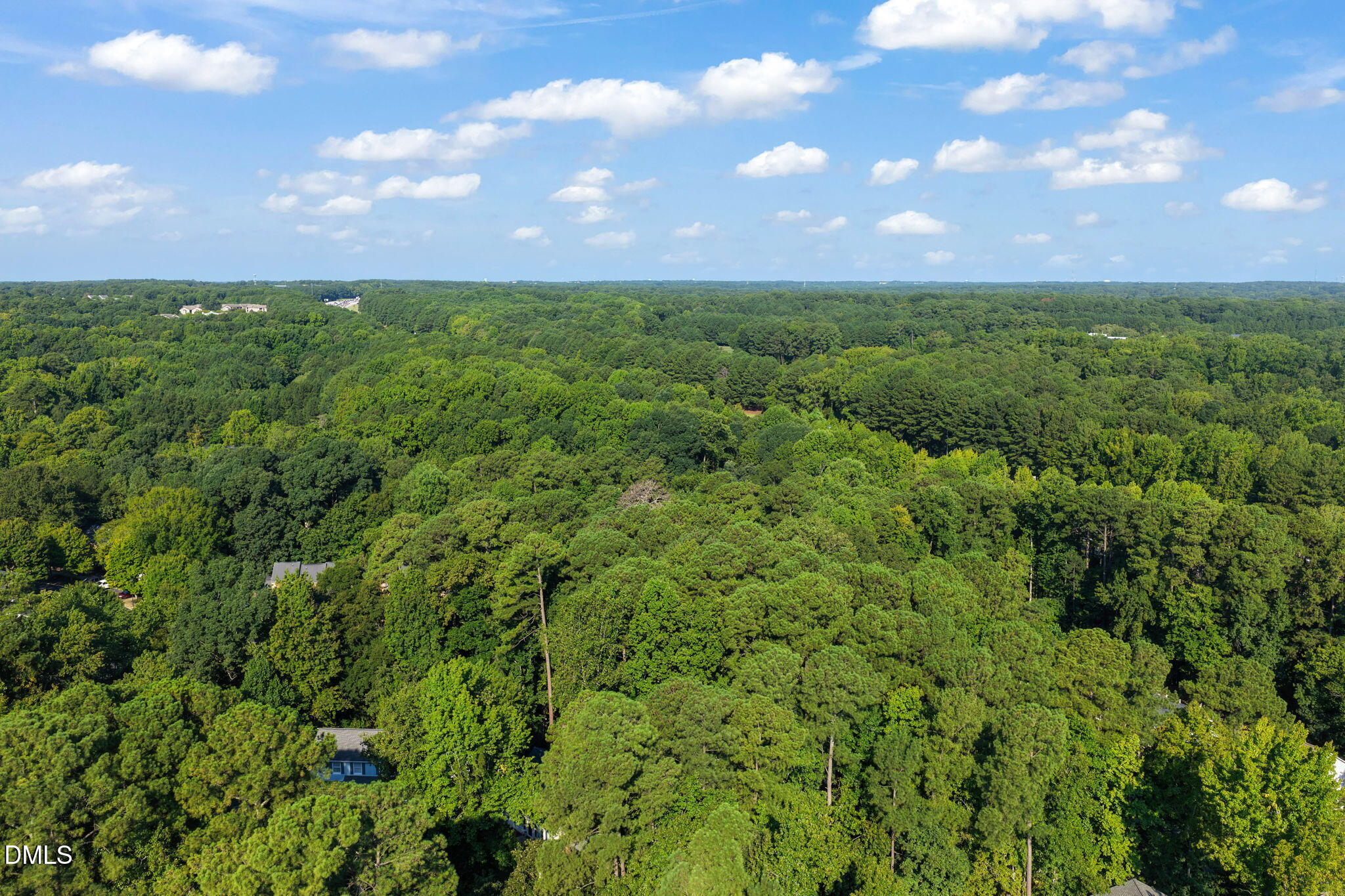 2729 Goshawk Lane Raleigh, NC 27603 - Photo 46 of 49 46-web-or-mls-untitled-6