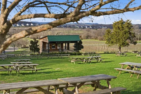 $1,295,000 | 7033 Fiddlers Glen Drive, Arrington, TN 37014