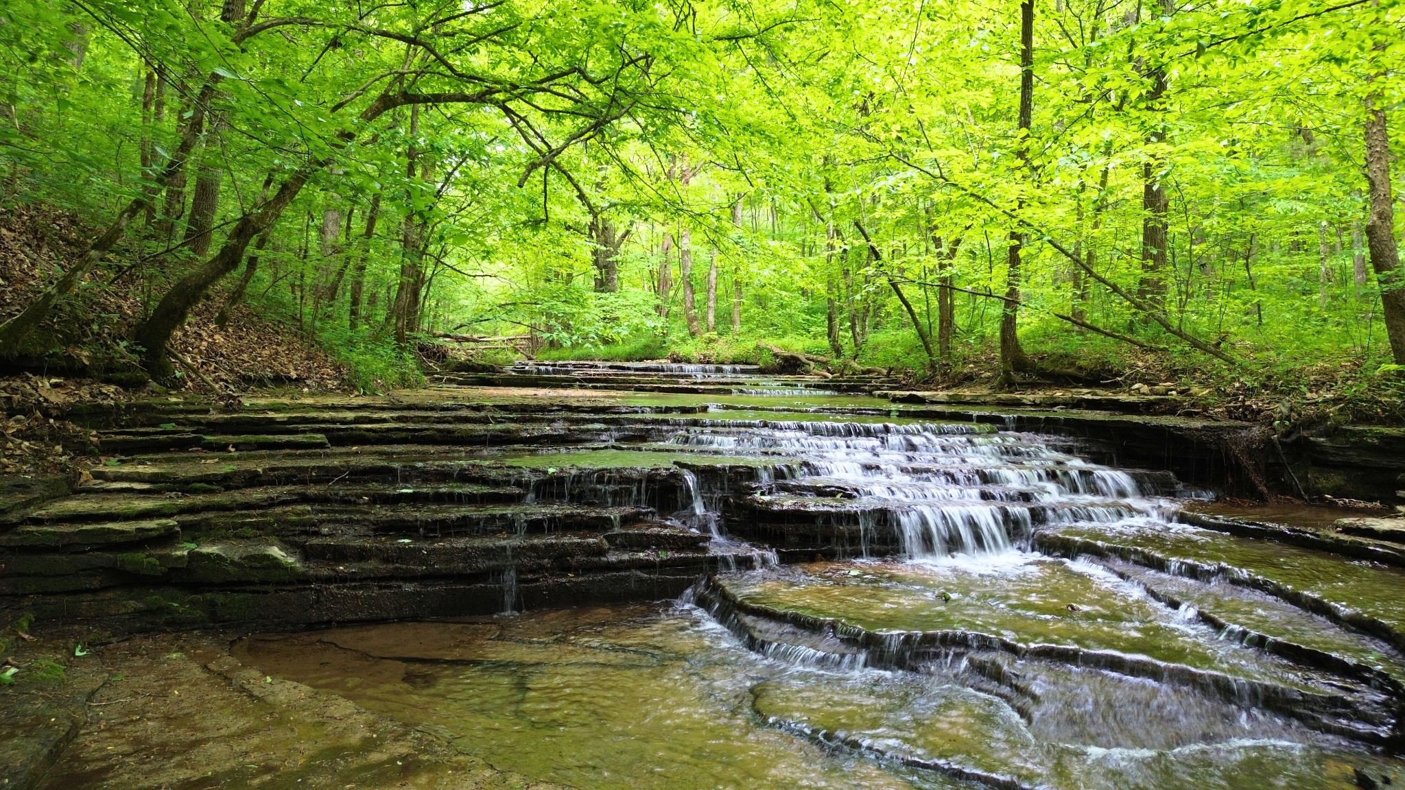 a view of swimming pool with a yard