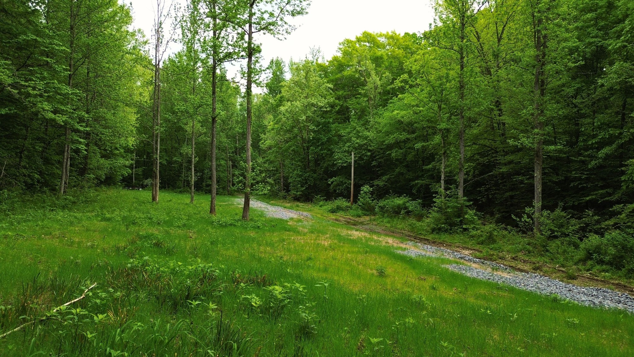 0 Old Lock A Road Charlotte, TN 37036 - Photo 12 of 24 a view of a field with a trees in the background