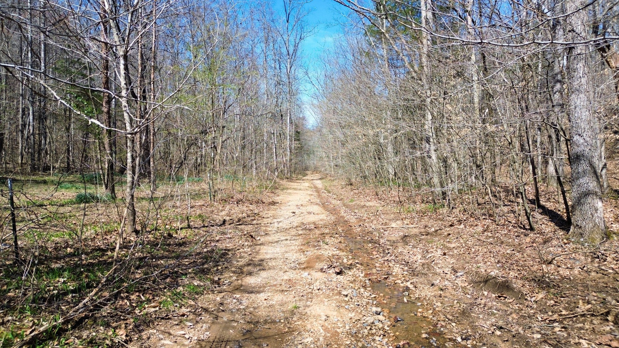 0 Old Lock A Road Charlotte, TN 37036 - Photo 17 of 24 a view of backyard with green space