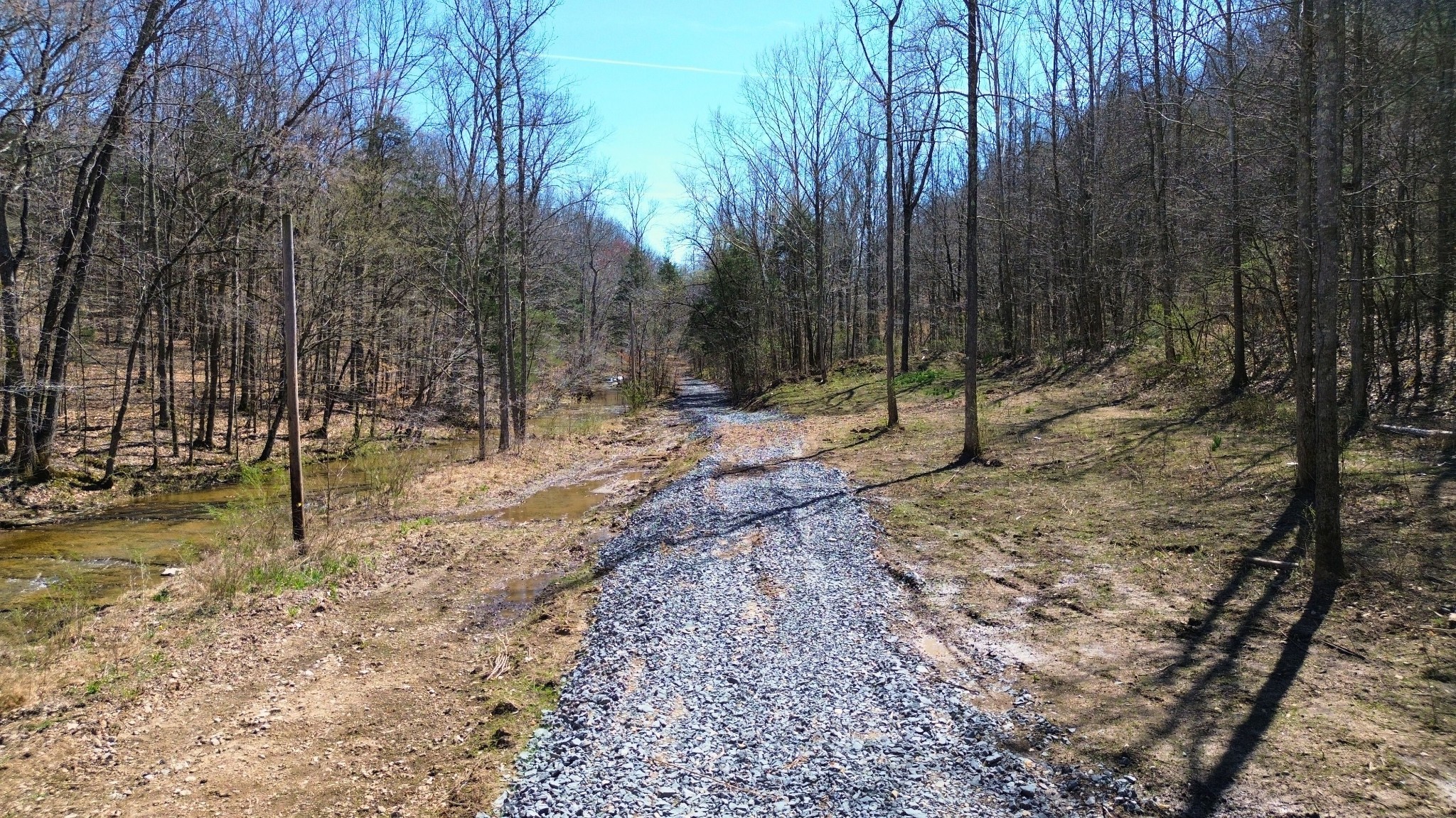 0 Old Lock A Road Charlotte, TN 37036 - Photo 19 of 24 a view of a yard with a tree