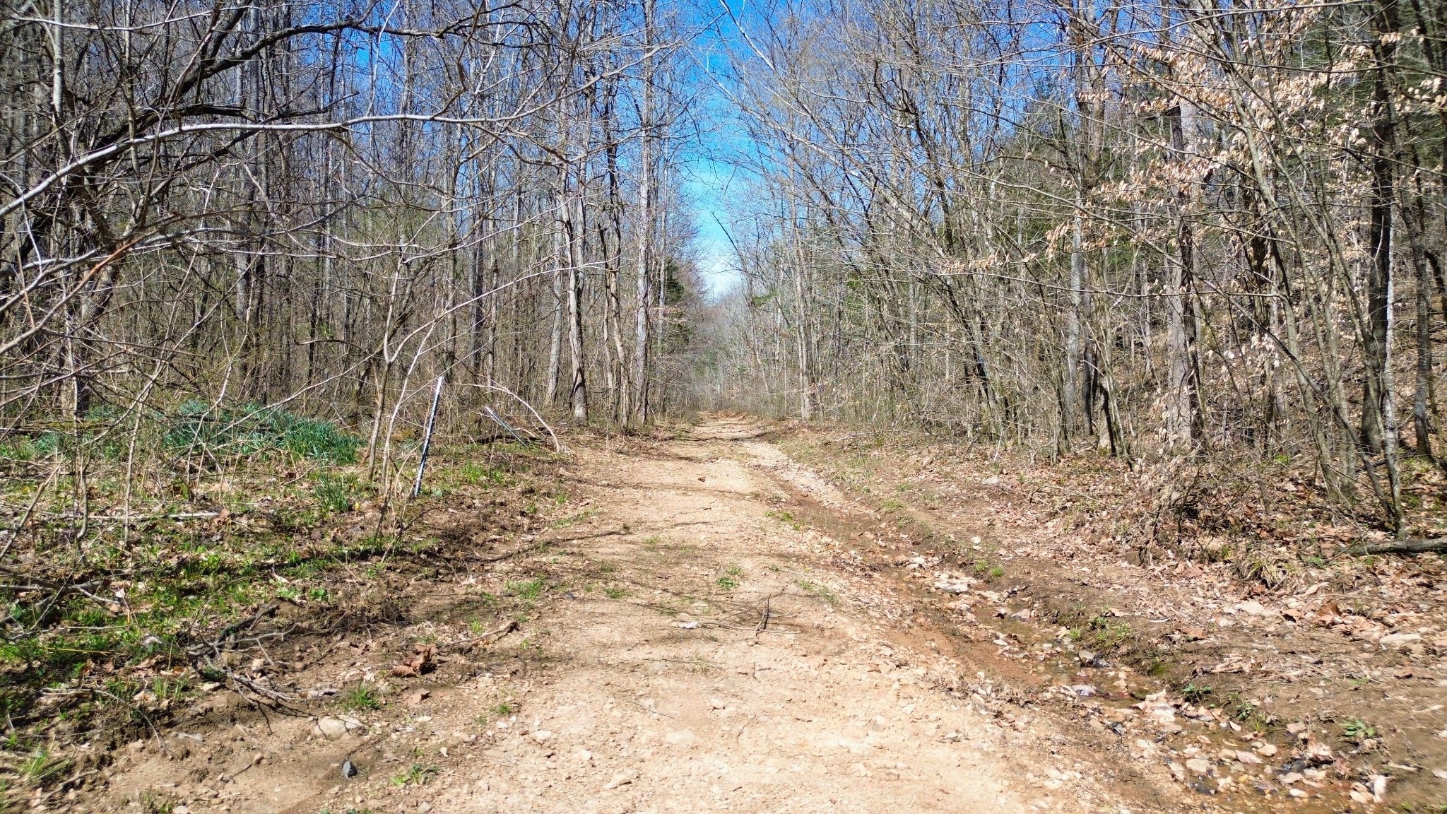 0 Old Lock A Road Charlotte, TN 37036 - Photo 20 of 24 a view of small yard