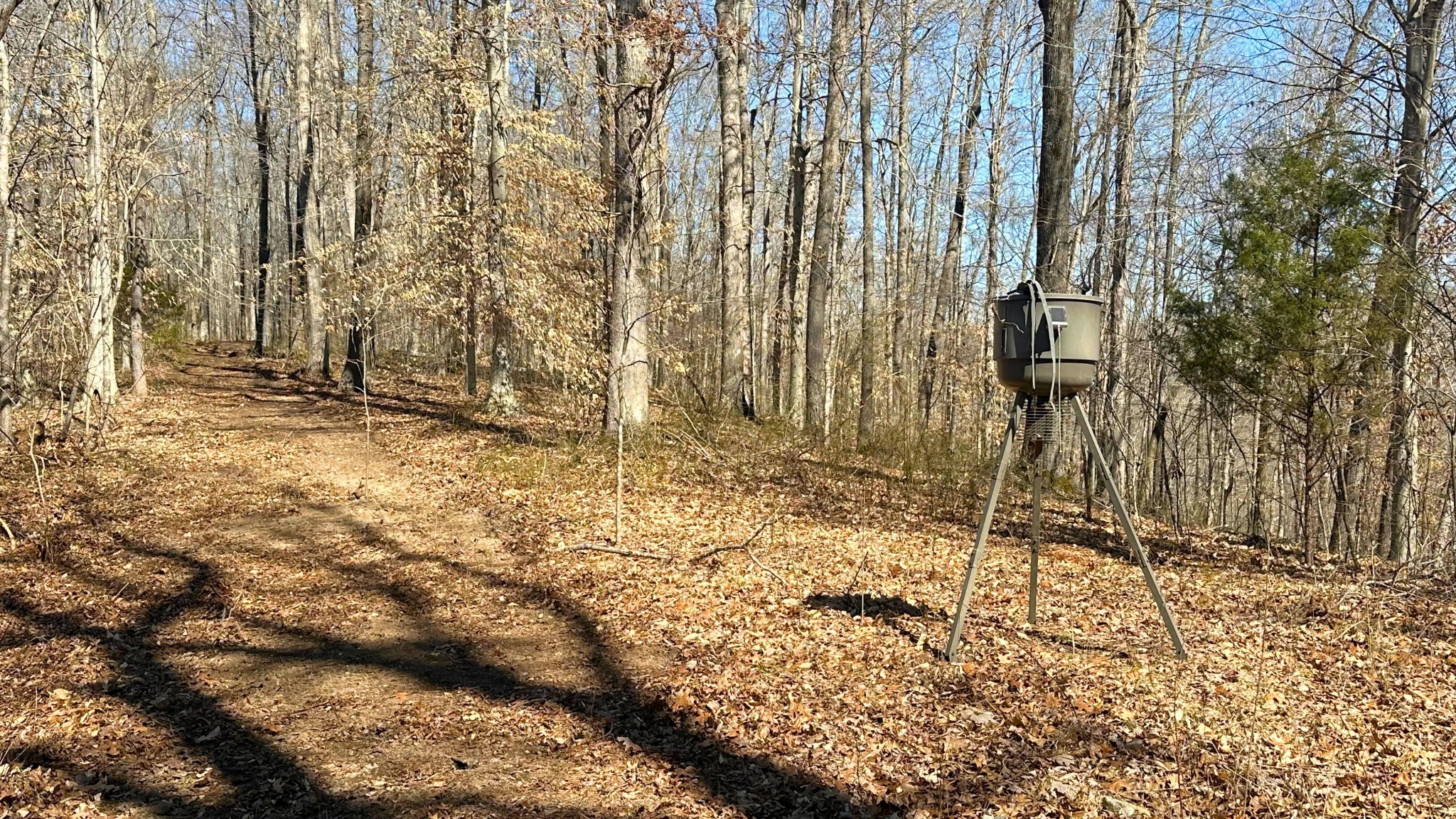 0 Old Lock A Road Charlotte, TN 37036 - Photo 23 of 24 a view of a backyard of the house