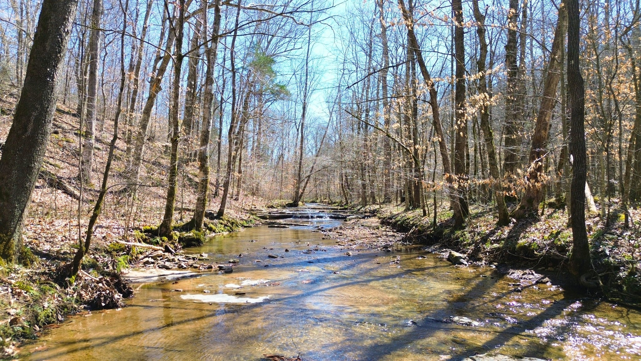 0 Old Lock A Road Charlotte, TN 37036 - Photo 3 of 24 a view of swimming pool with a yard
