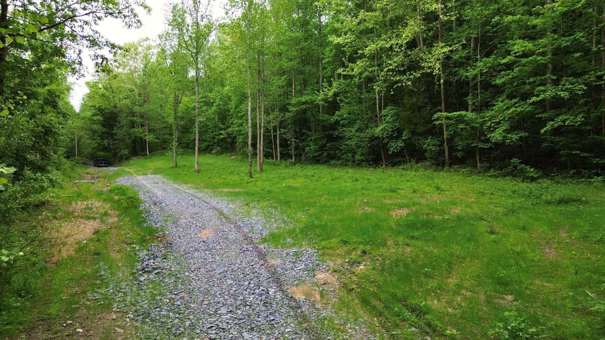 0 Old Lock A Road Charlotte, TN 37036 - Photo 5 of 24 a view of a grassy field with trees in the background