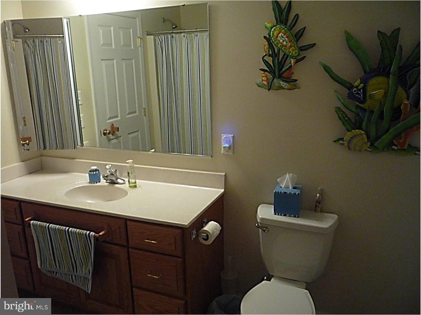 2516 Joshua Drive Sinking Spring, PA 19608 - Photo 13 of 25 Gallery Image 13