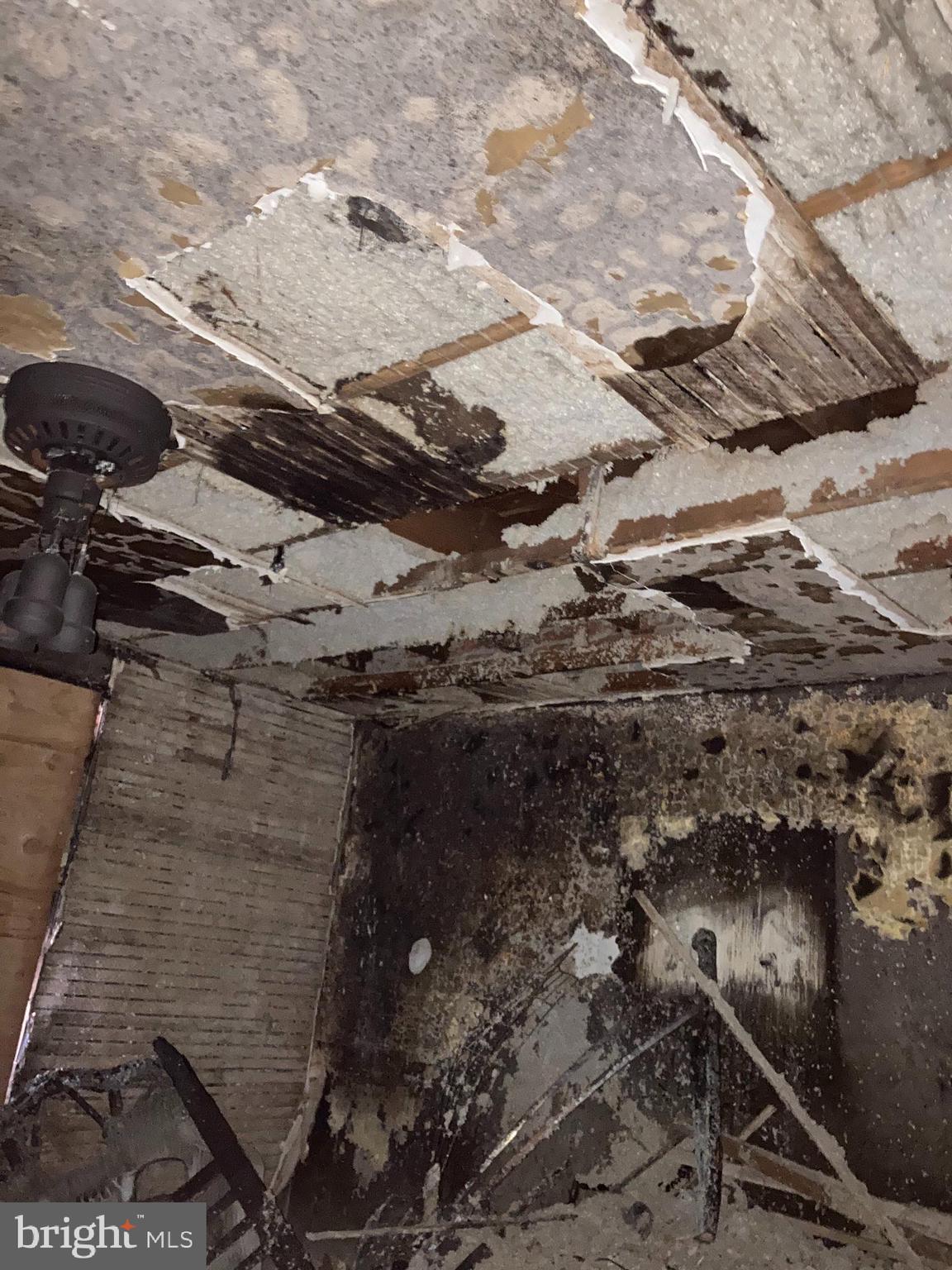 6917 Clinton Road Upper Darby, PA 19082 - Photo 9 of 21
