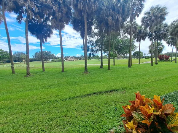 a view of a park with trees