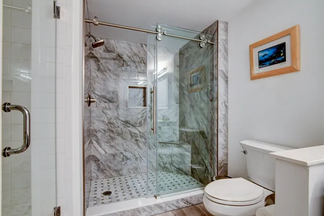 a bathroom with a shower and a toilet