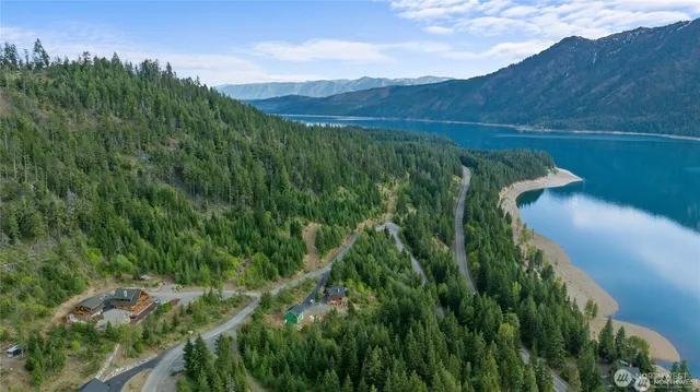 a view of a lush green forest with trees in the background