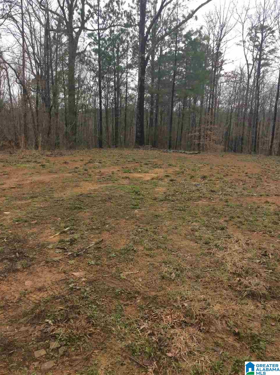 8941 Corner School Road, Unit 3 009 Warrior, AL 35180 - Photo 4 of 5
