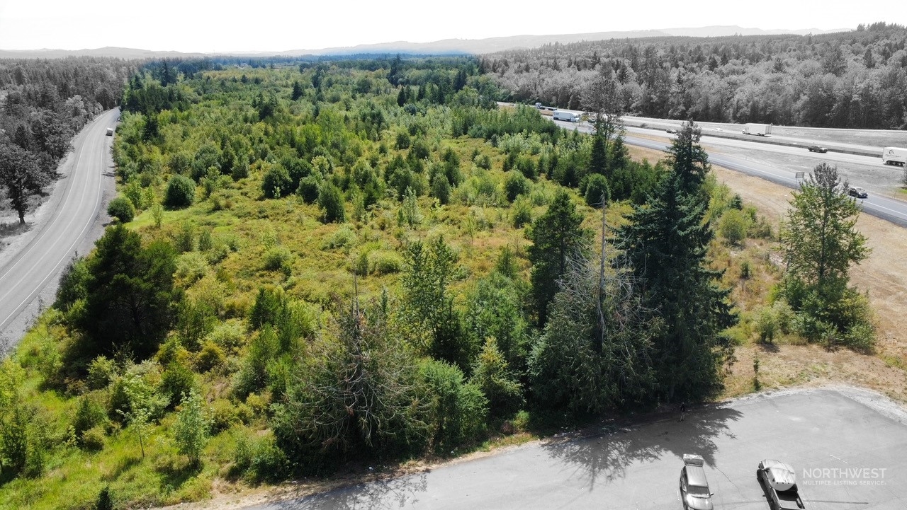108 Camus Road Winlock, WA 98596 - Photo 17 of 18 a view of a yard with plants