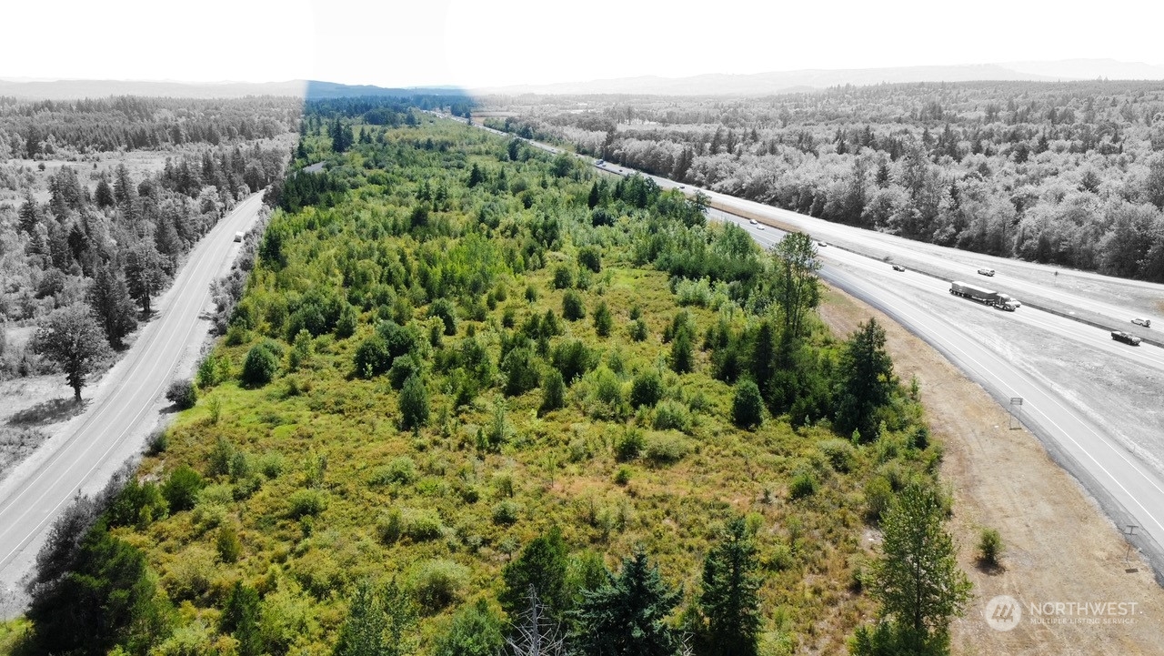 108 Camus Road Winlock, WA 98596 - Photo 18 of 18 a view of a green field with lots of green space