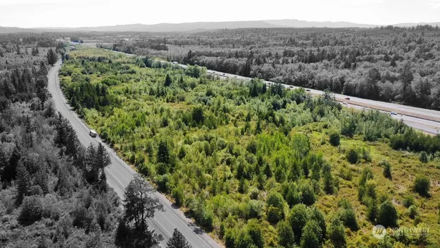 a view of a lush green forest with lush green forest