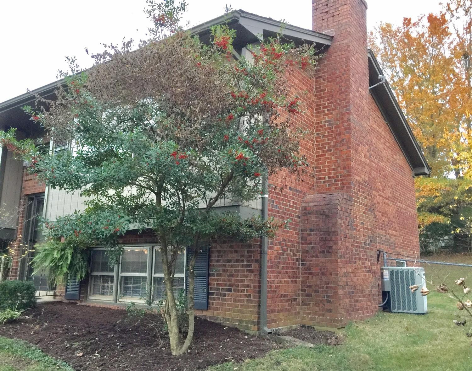 3356 Boston Road Lexington, KY 40503 - Photo 30 of 34 Photo 30