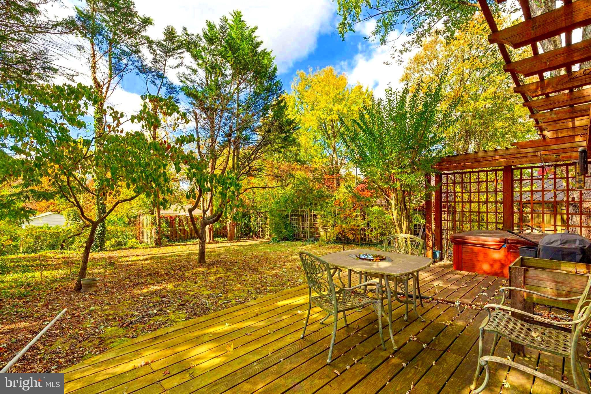 208 Chestnut Street Middleburg, VA 20117 - Photo 22 of 23 A hot tub. Space for a garden, plants, gazebo, etc